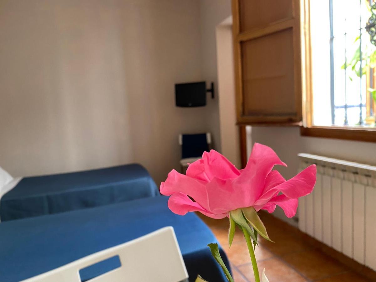 Hostal Moscatel Μάλαγα Εξωτερικό φωτογραφία